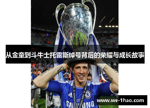 从金童到斗牛士托雷斯绰号背后的荣耀与成长故事