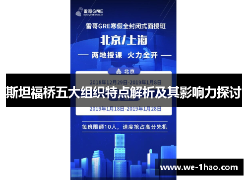 斯坦福桥五大组织特点解析及其影响力探讨
